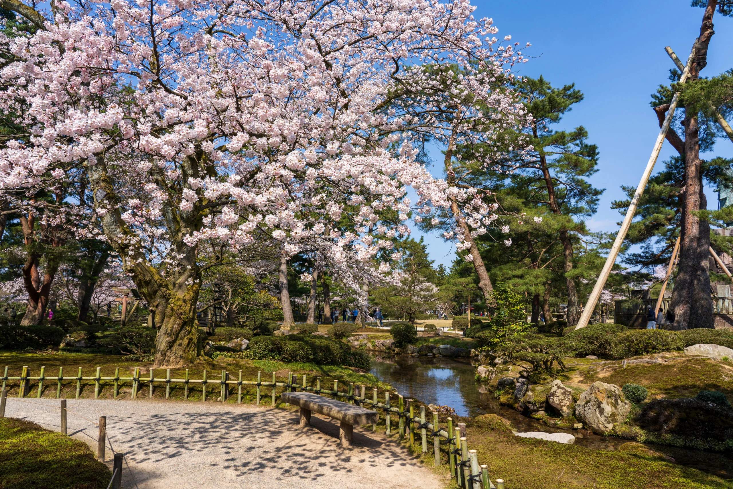 🏞️ 야마가시 잇폰마츠 농촌 공원 이미지 6